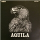 Aquila - Aquila